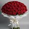 Букет 101 Красная роза Блэк Мэджик в Мостовик