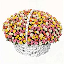 Премиум букет из: Розы #REPLACE_PRED# Мостовик