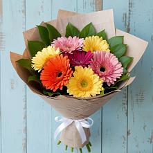 Букет цветов из:  Герберы в Мостовик