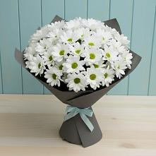Букет цветов из:  Хризантемы в Мостовик