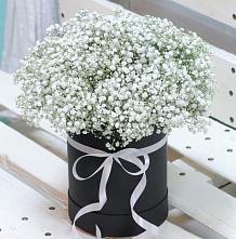 Цветочная композиция из Гипсофила в шляпной коробке #REPLACE_PRED# Мостовик