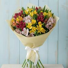 Букет цветов из:  Альстромерии в Мостовик