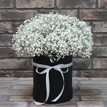Цветочная композиция из Гипсофила в шляпной коробке в Мостовик