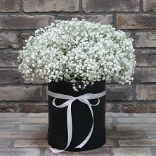 Цветочная композиция из Гипсофила в шляпной коробке в Мостовик