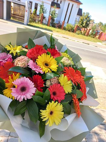 Букет цветов из: Герберы в Мостовик