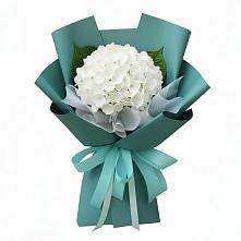 Букет цветов из:  Гортензия в Мостовик
